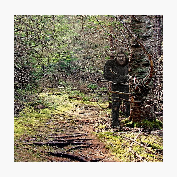 Louisiana Sasquatch Photographic Print