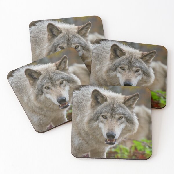 Item preview, Timber Wolves designed and sold by WolvesOnly.
