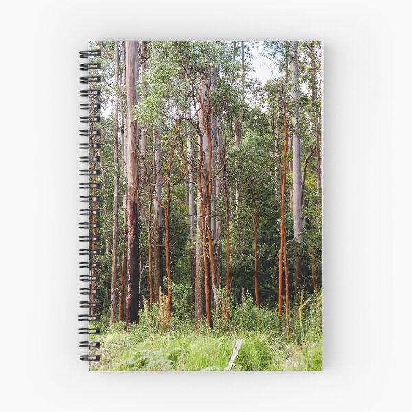 Item preview, Mountain Ash Forest designed and sold by Rob Chiarolli.