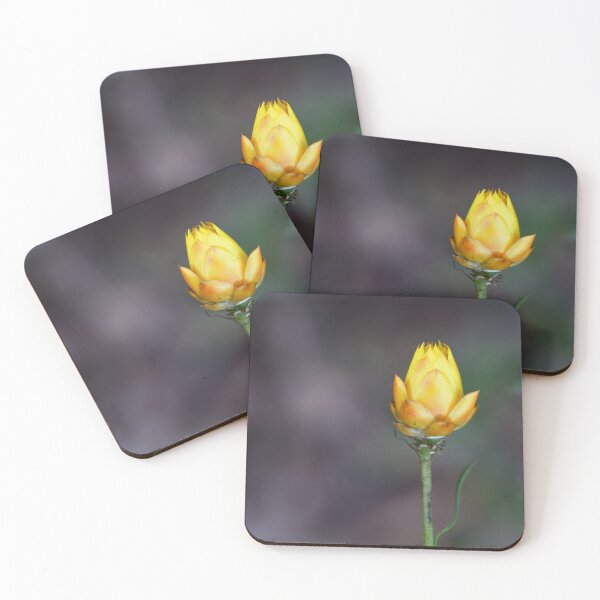 Item preview, Wildflower Kilmore Australia designed and sold by KYLIE MCKAY.