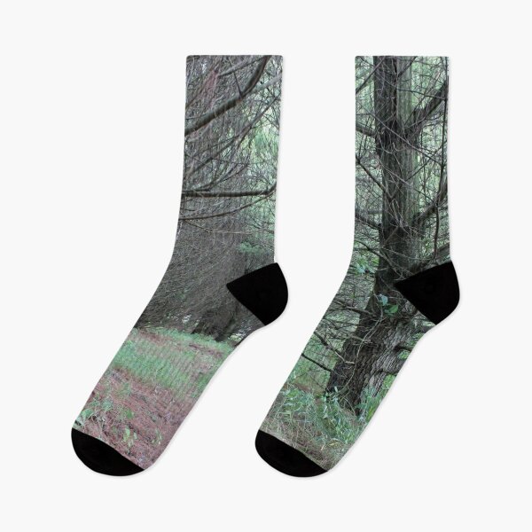 Item preview, Walking Trail in the Pines designed and sold by Susie Kramer.