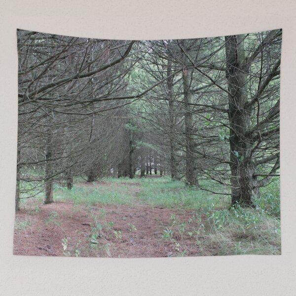 Item preview, Walking Trail in the Pines designed and sold by Susie Kramer.