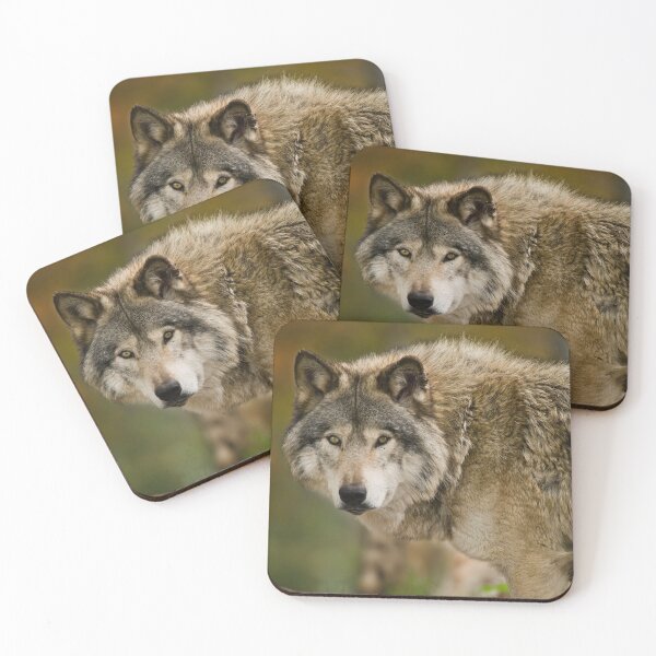 Item preview, Timber Wolf designed and sold by WolvesOnly.