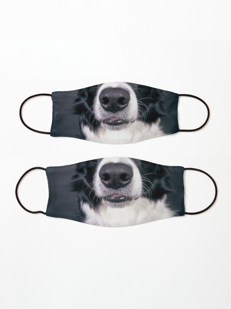 Border on sale collie muzzle