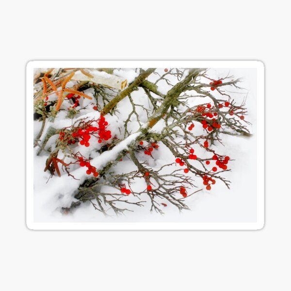 Item preview, Winter's Paintbrush designed and sold by Claude Johnson.