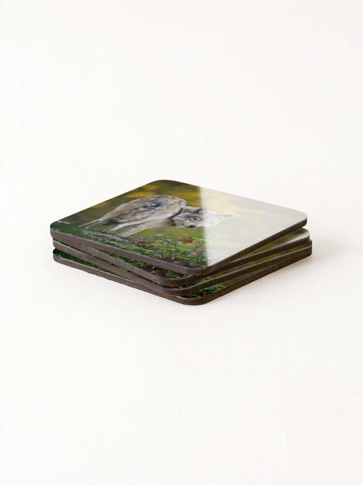 Thumbnail 4 of 5, Coasters (Set of 4), Timber Wolf designed and sold by WolvesOnly.