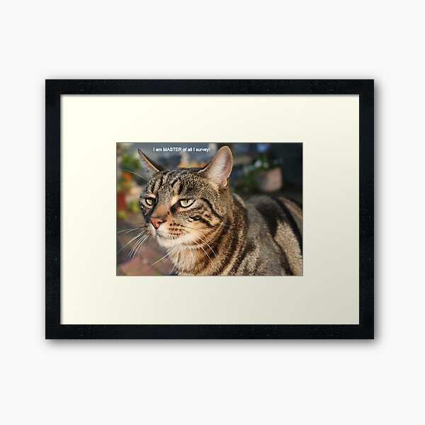 I am MASTER of ALL I survey! Framed Art Print