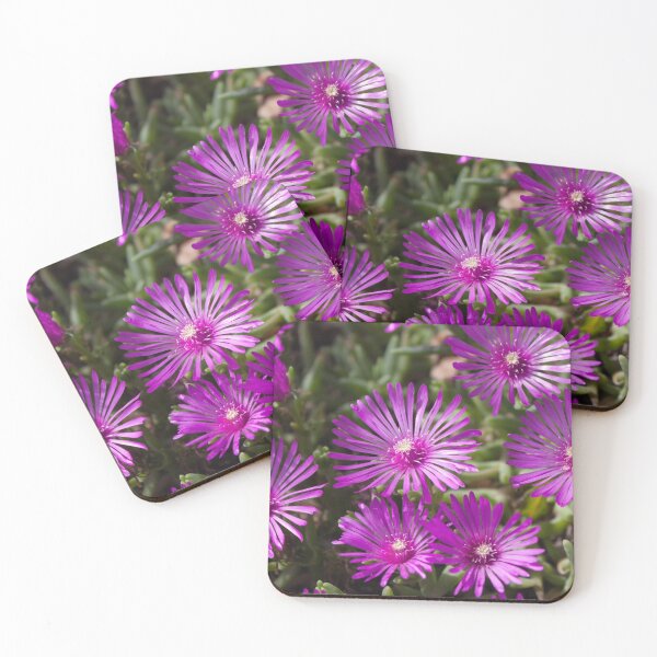 Item preview, Ice Plant flowers designed and sold by PilarSG.