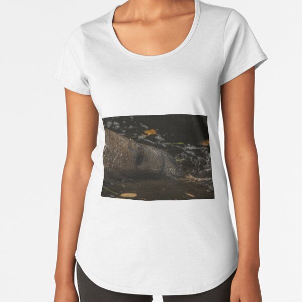 Baked Potato Premium Scoop T-Shirt