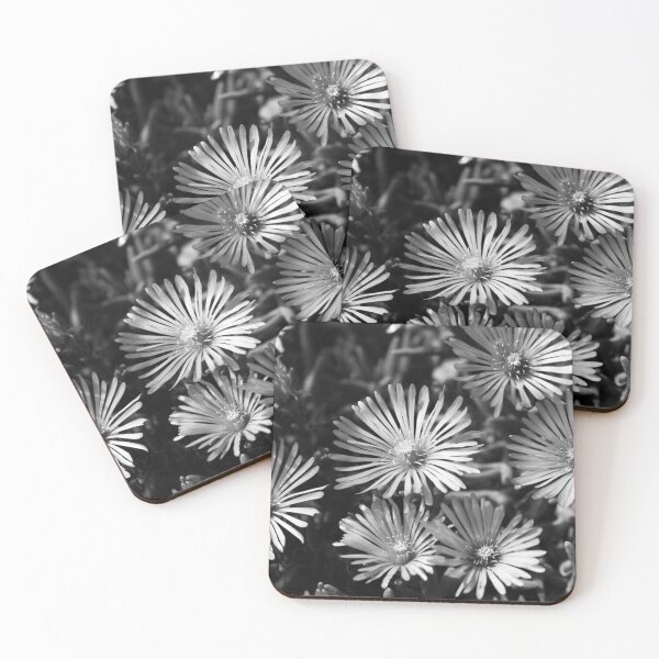 Item preview, Ice Plant flowers designed and sold by PilarSG.