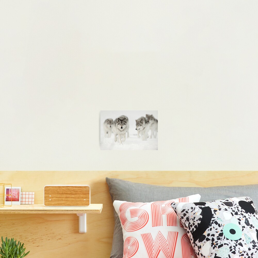 Item preview, Photographic Print designed and sold by WolvesOnly.
