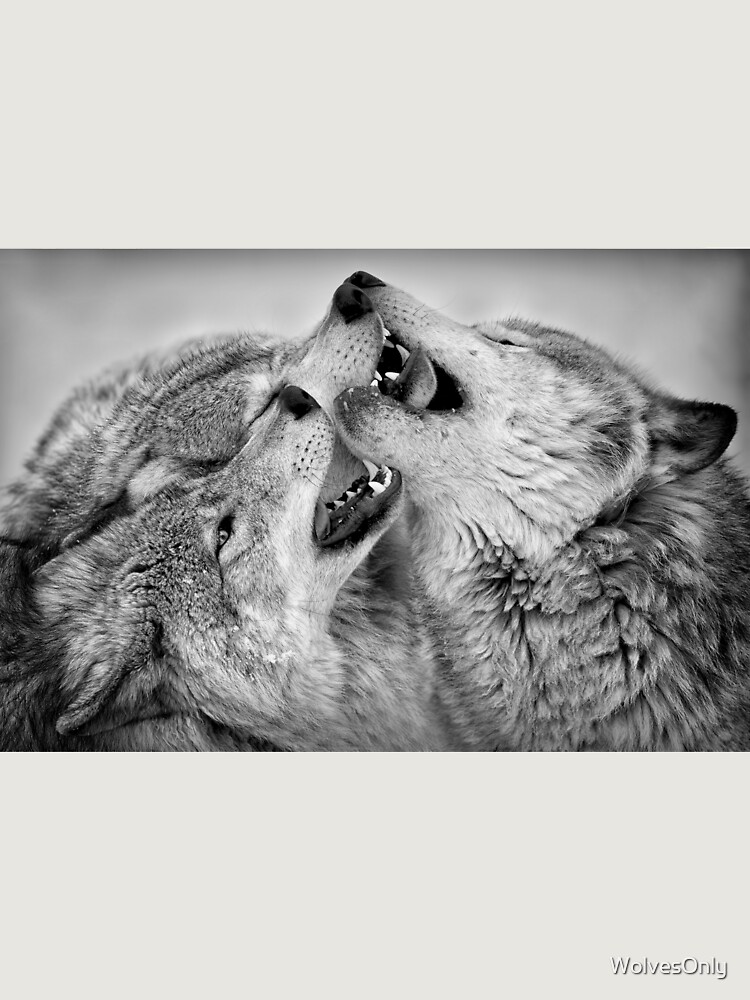 Thumbnail 6 of 6, Premium Oversized Sweatshirt, Timber Wolves designed and sold by WolvesOnly.