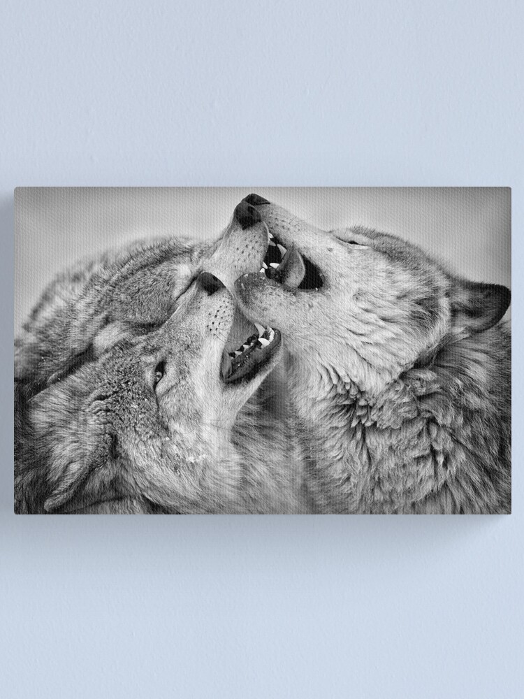 Imagen 1 de 3, Lienzo con la obra Timber Wolves, diseñada y vendida por WolvesOnly.