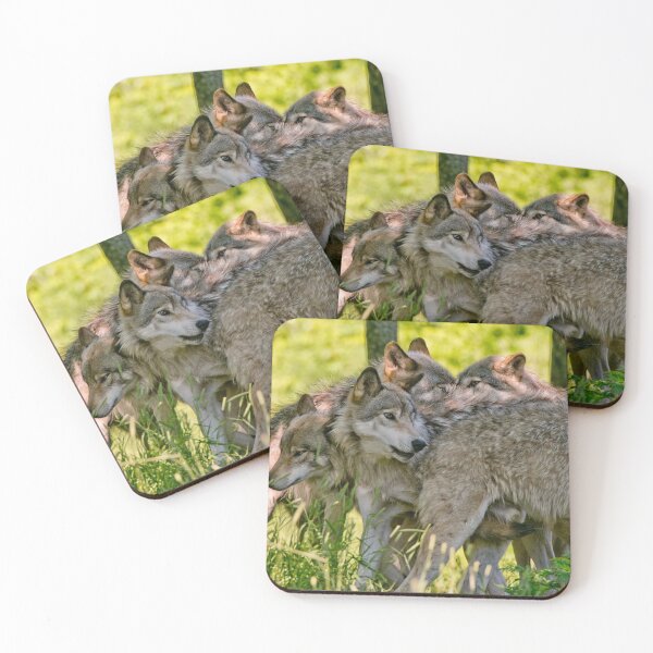 Item preview, Timber Wolves designed and sold by WolvesOnly.
