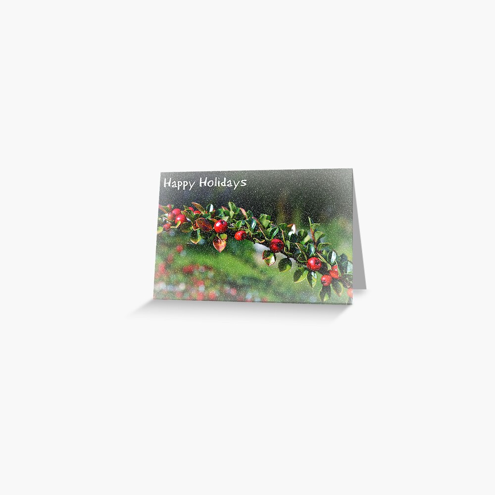 Happy Holidays Card Greeting Card