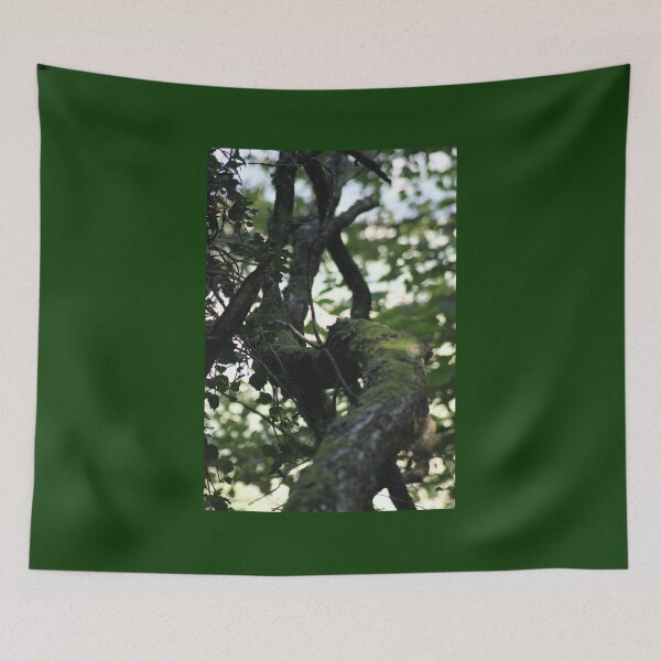 Item preview, Mossy tree branch woodland picture designed and sold by Emma  Amies.
