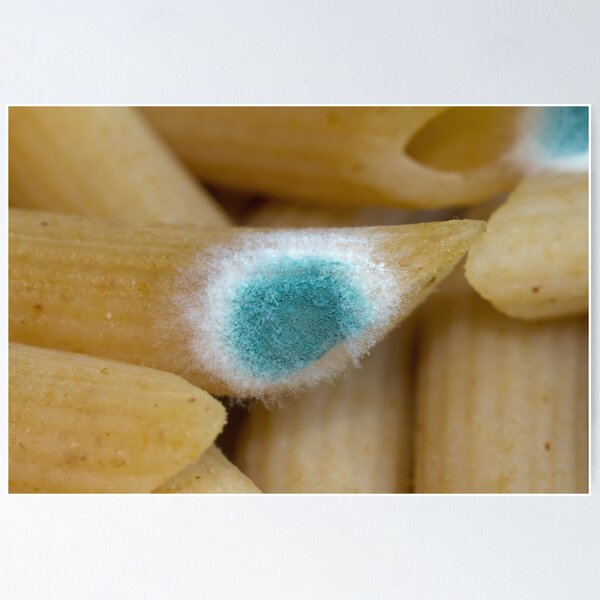 Item preview, Mould on Pasta designed and sold by Sue Robinson.
