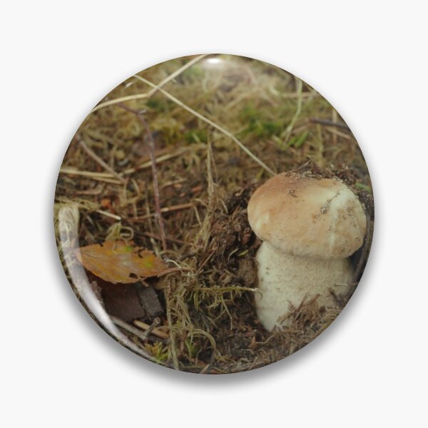 Item preview, Boletus Edulis designed and sold by mrivserg.