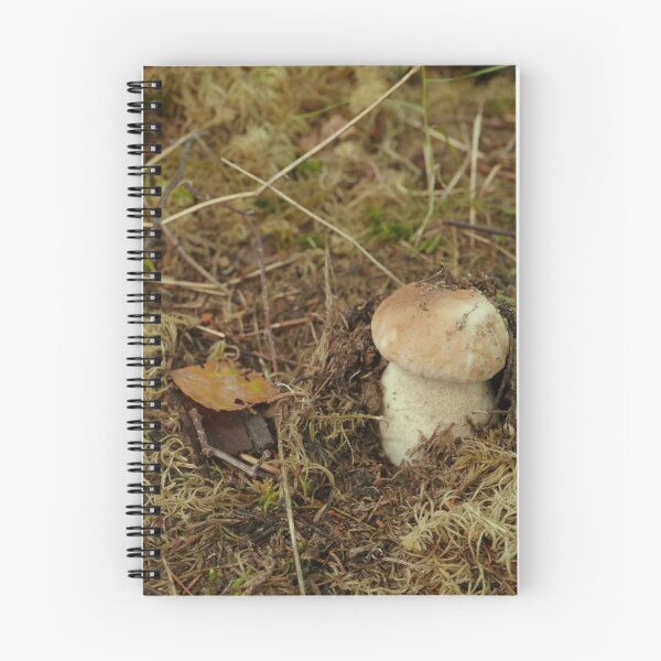 Item preview, Boletus Edulis designed and sold by mrivserg.