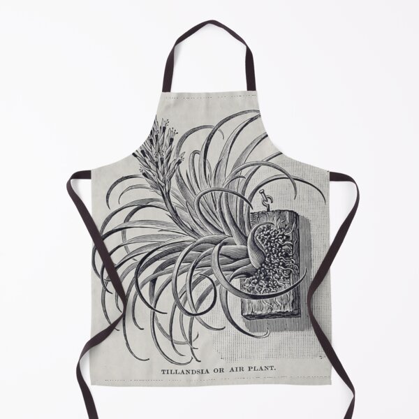 Item preview, Botanical Air Plant designed and sold by BlueSpecsStudio.