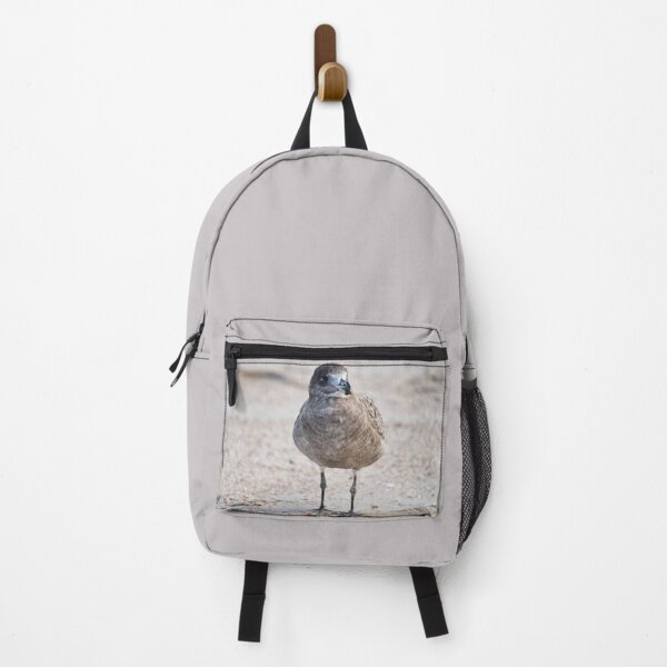 Item preview, Juvenile Pacific, very pretty, Gull designed and sold by imaginethis.