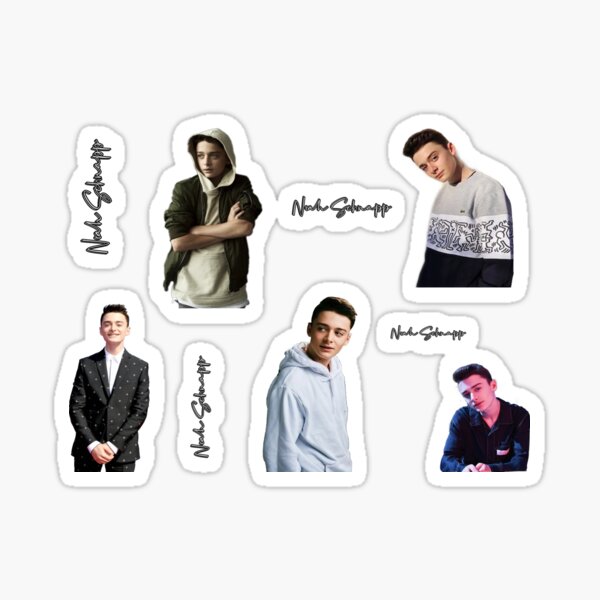 Noah Schnapp aticker pack Sticker