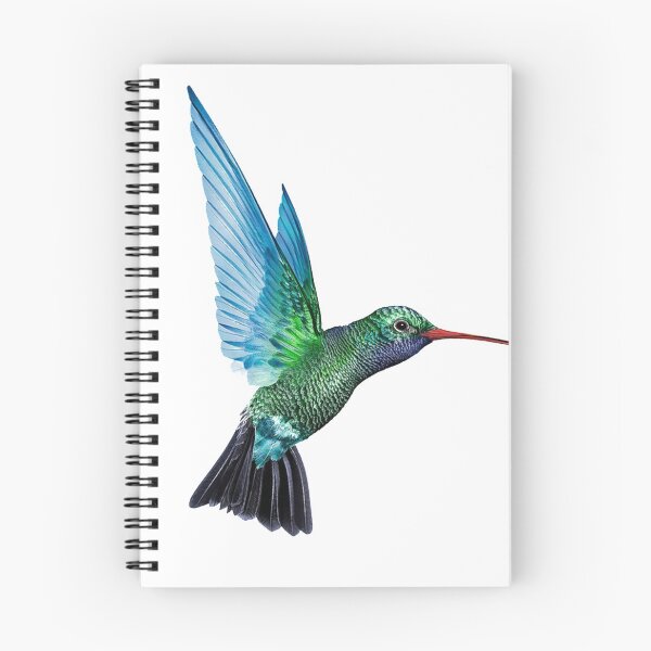 Aperçu de l'œuvre Le colibri créée et vendue par Designs By Creation.