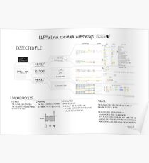 ELF101 (ARM) Poster