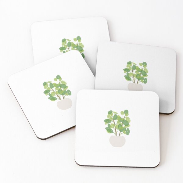 Item preview, Pilea Peperomioides Pancake Plant designed and sold by kaylasbubble.