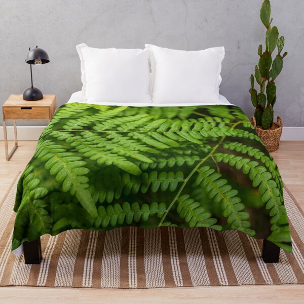 Item preview, Light Green Ferns in a Forest designed and sold by Jon Shore.