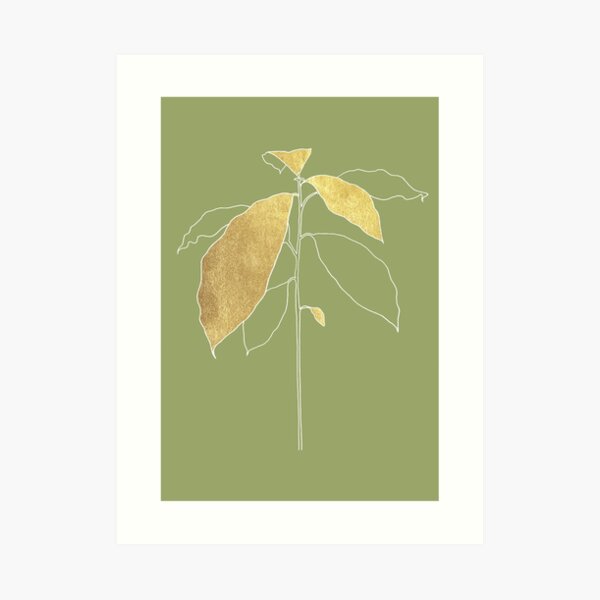 Avocado Plant in green Art Print