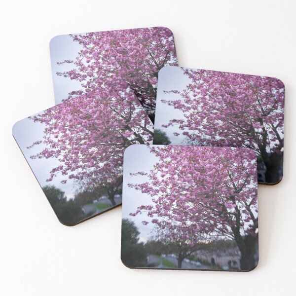 Item preview, Cherry Blossom in Hawick, Scottish Borders designed and sold by yourscotborders.