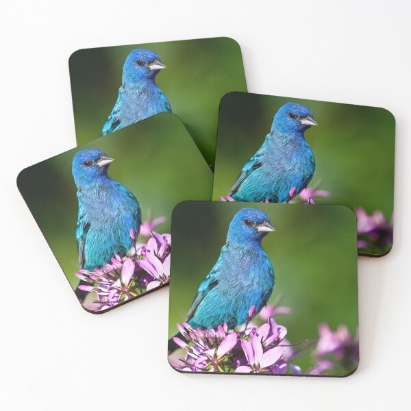 Item preview, Indigo Bunting designed and sold by Vargulich.