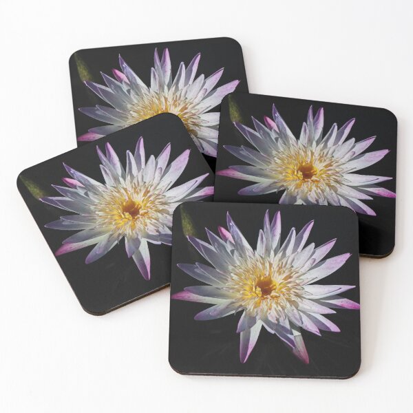 Item preview, Discerning Energy designed and sold by Michiale.