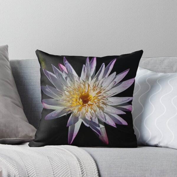 Item preview, Discerning Energy designed and sold by Michiale.