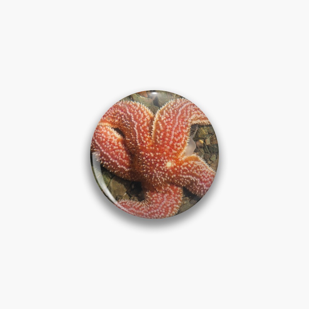 Item preview, Pin designed and sold by Ruthie33.