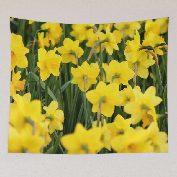 Item preview, Beautiful yellow flours picture art design designed and sold by FHdesigns.