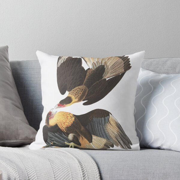 Item preview, Caracara cheriway by Audubon designed and sold by Bird-Lore.