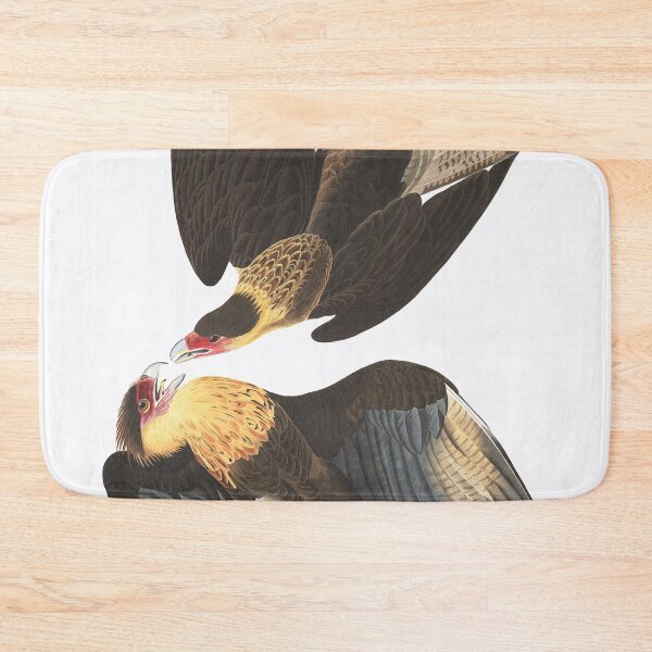Item preview, Caracara cheriway by Audubon designed and sold by Bird-Lore.