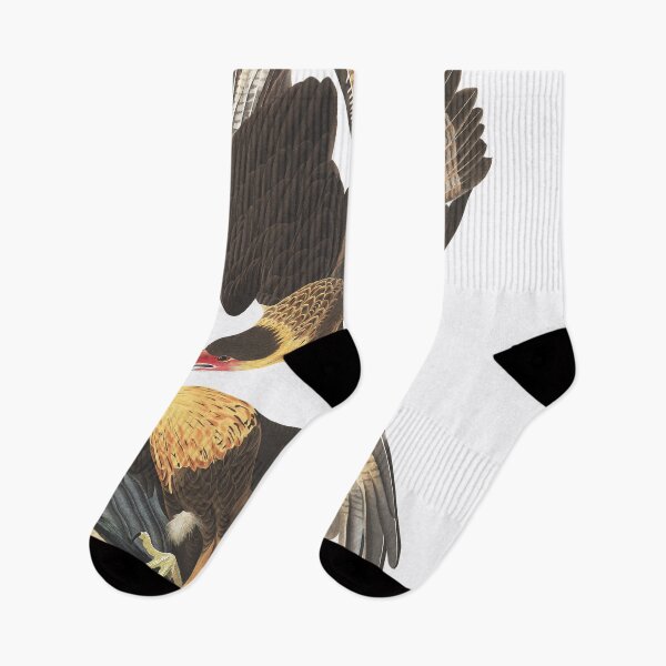 Item preview, Caracara cheriway by Audubon designed and sold by Bird-Lore.