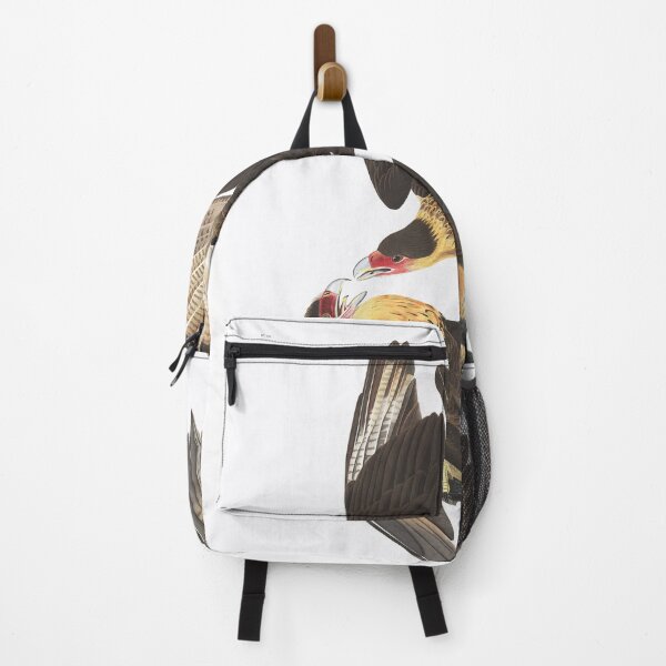 Item preview, Caracara cheriway by Audubon designed and sold by Bird-Lore.