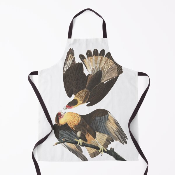 Item preview, Caracara cheriway by Audubon designed and sold by Bird-Lore.
