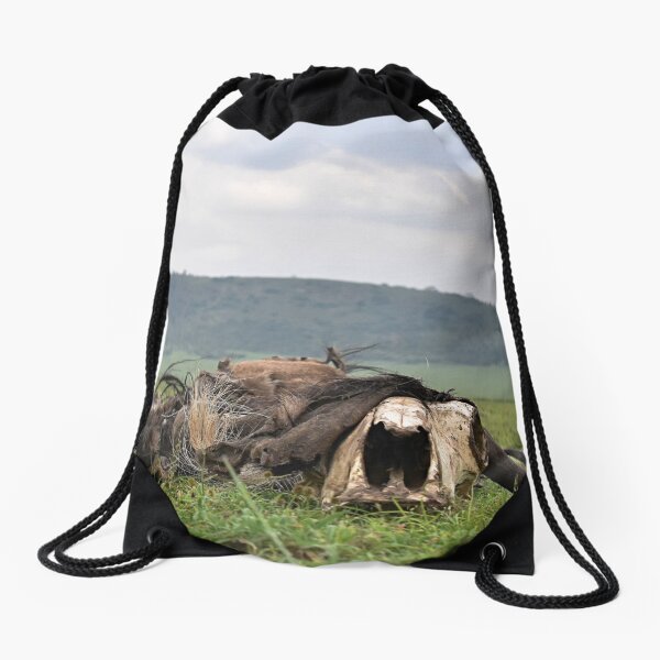 Carcass Bags Redbubble