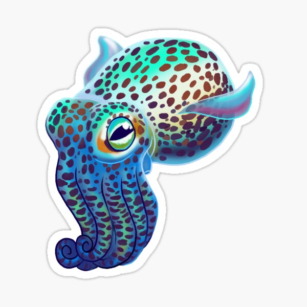 Hawaiian Bobtail Squid Sticker