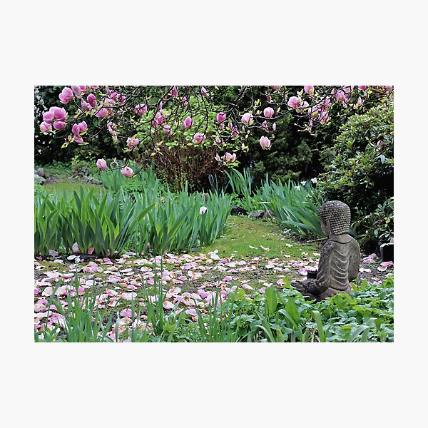 Item preview, Backyard Buddha designed and sold by Rod Raglin.