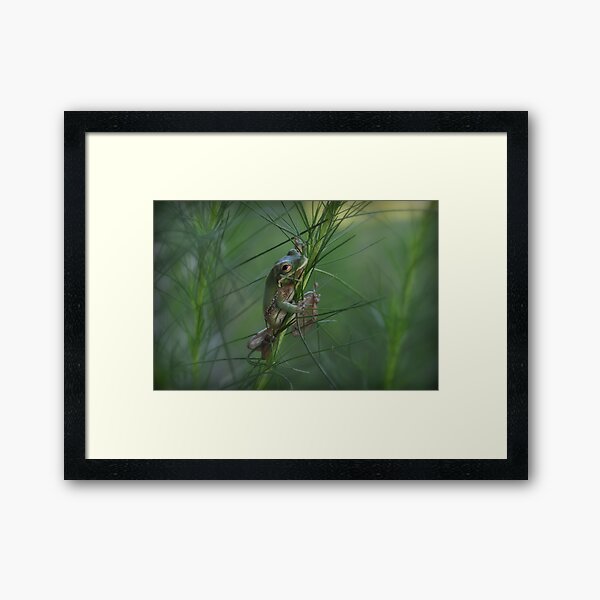 Hang in There Framed Art Print