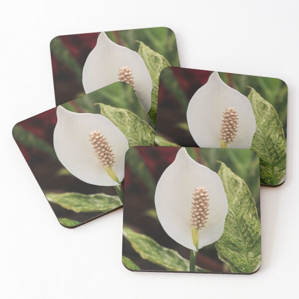 Item preview, Miracles Happen designed and sold by Michiale.