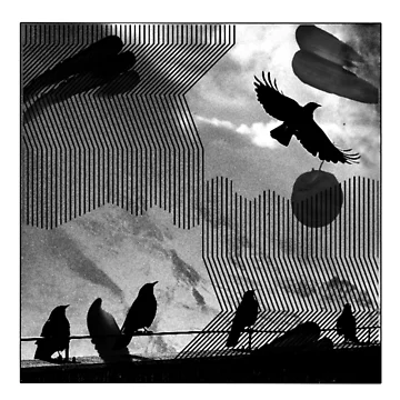 Artwork thumbnail, Crow Lines by Ruthria