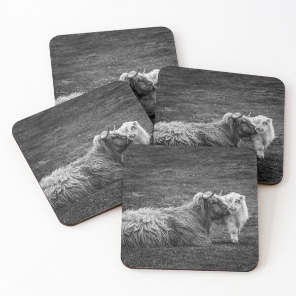 Item preview, Highland Coo and Calf, Scottish Borders designed and sold by yourscotborders.