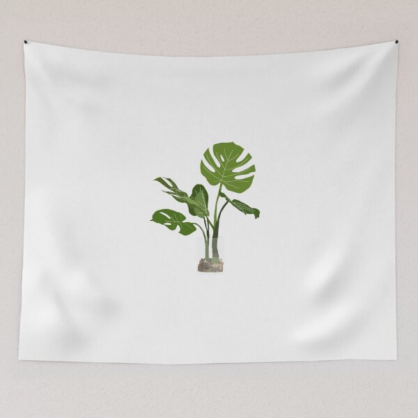 Item preview, Monstera Plant designed and sold by stabilitaet.